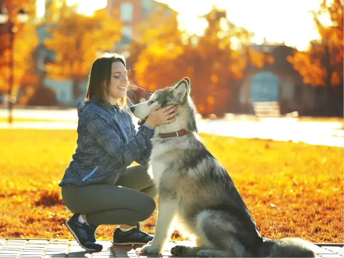 《女人与狗》1080P高清无删减免费观看 - 无广告流畅体验《女人与狗》百度网盘迅雷下载