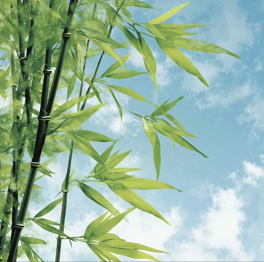 检察官室的提案全本无删减在线阅读