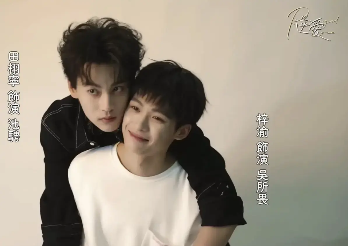 《逆爱》相关资源图片