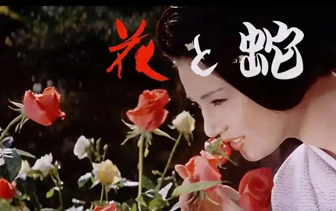 《花与蛇3：白衣绳奴》相关资源图片