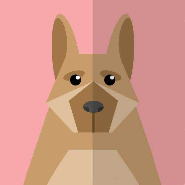 《一起去吃拉面吗》相关资源图片