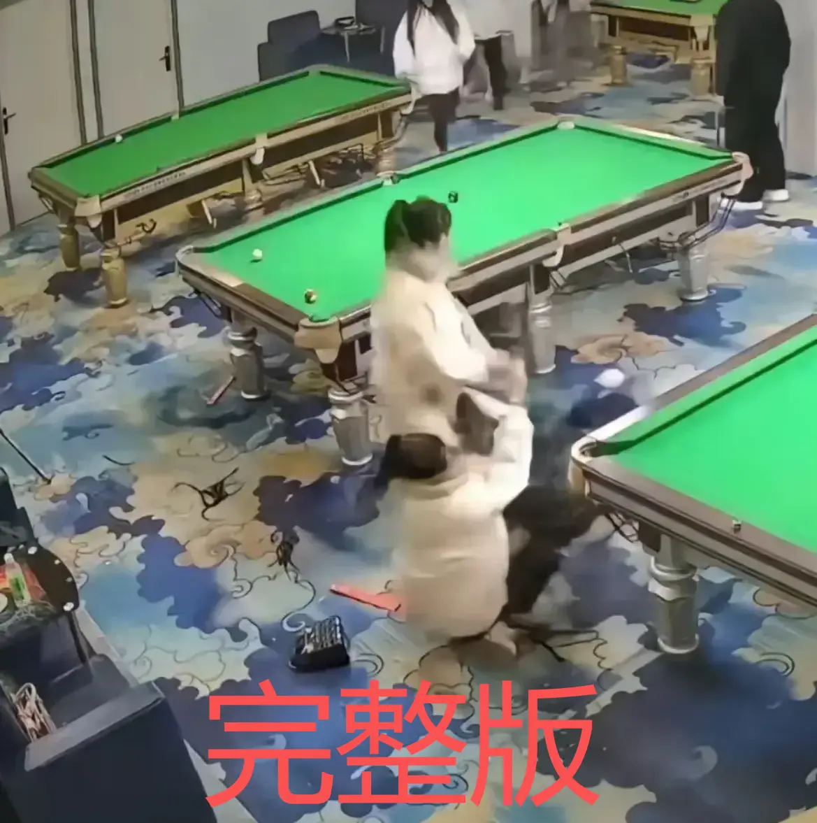 《台球厅双刀姐妹事件》
