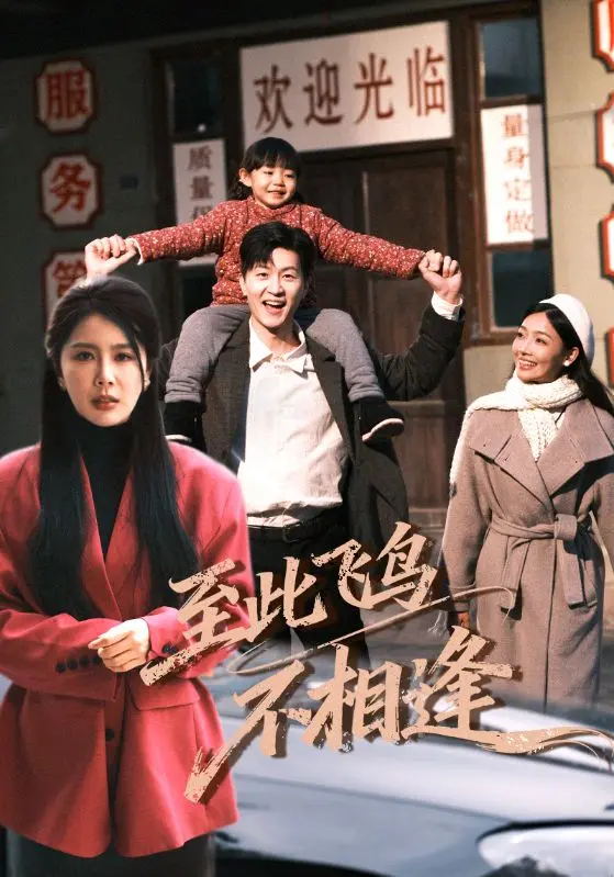 《至此飞鸟不相逢》全70集无删减版-丁海霞王鹏主演4K超清-免费在线观看及网盘下载资源