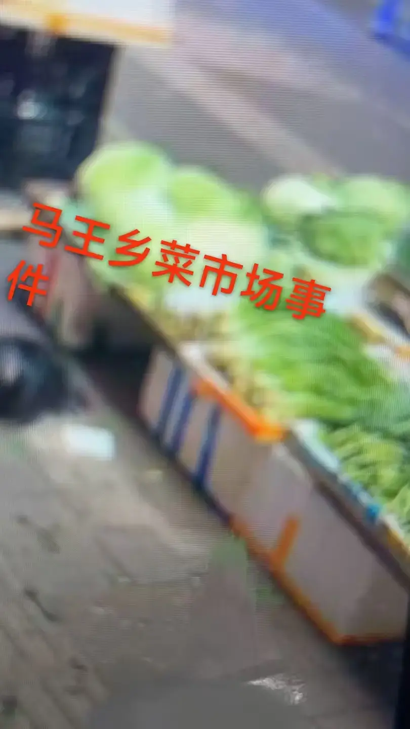 《重庆马王乡菜市场事件》完整版来袭！1080P高清一手视频，附关键节点时间标记，无广告在线观看！