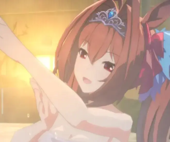 《特殊温泉旅行 2》相关资源图片