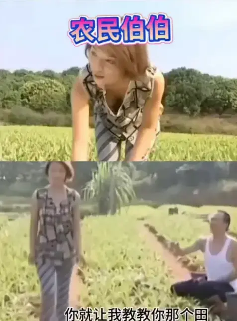 《农民伯伯乡下妹》全季高清未删减版 - 台湾冷门乡土剧越看越上头 - 治愈日常无广告沉浸式观影