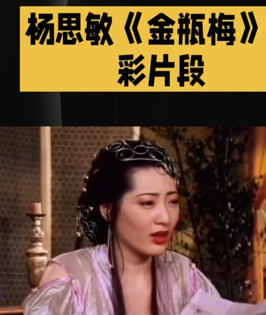 《新金瓶梅》