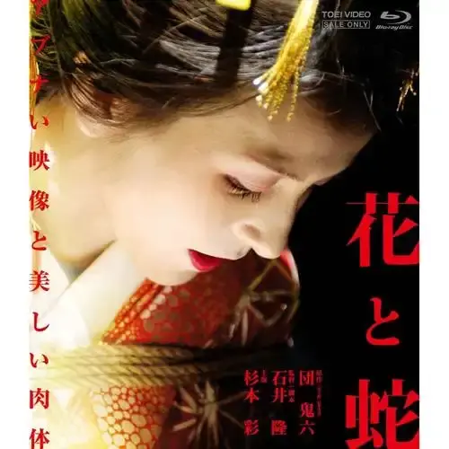 日本电影《花与蛇》全网首发高清版-《花与蛇》无删减在线观看-《花与蛇》夸克网盘1080P下载-星辰影院