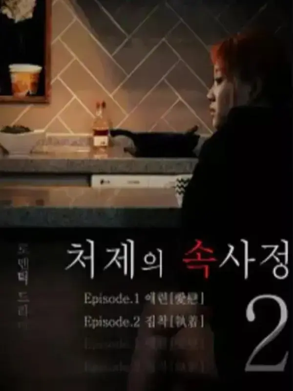 韩国电影《嫂嫂情事》未删减完整版1080P高清免费在线播放-《嫂嫂情事》无广告纯净版观看-VS影院