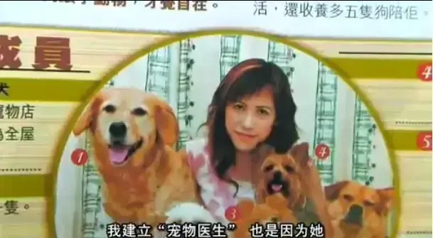 欧美电影《女人与狗》免费在线观看 中字全集未删减版 正片高清资源-《女人与狗》1080P超清画质在线播放-支持网盘下载无广告流畅观影