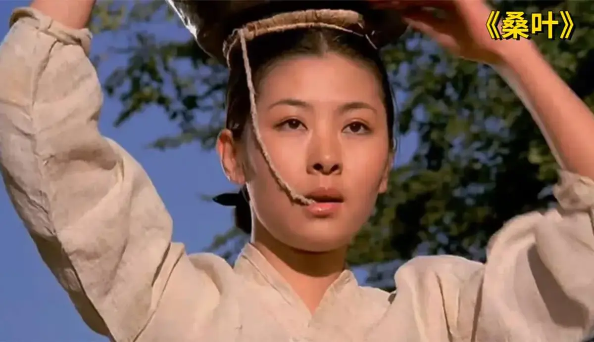 《桑叶》相关资源图片