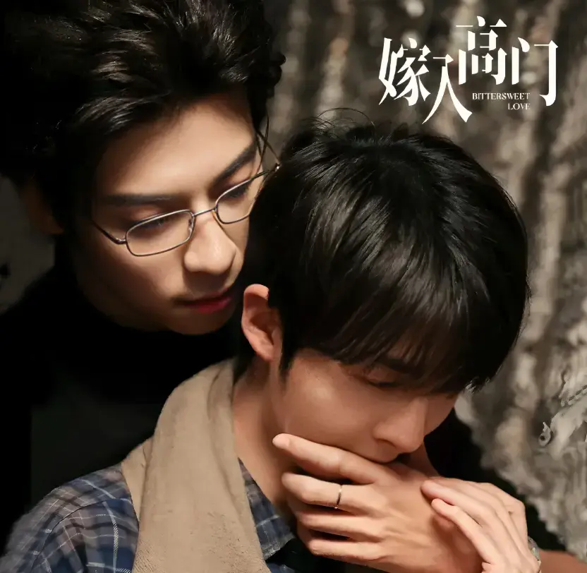 《嫁入高门的男人》双男主爱情剧免费在线观看，HD高清画质无广告，2026环大陆剧《嫁入高门的男人》全集畅看-星辰影院