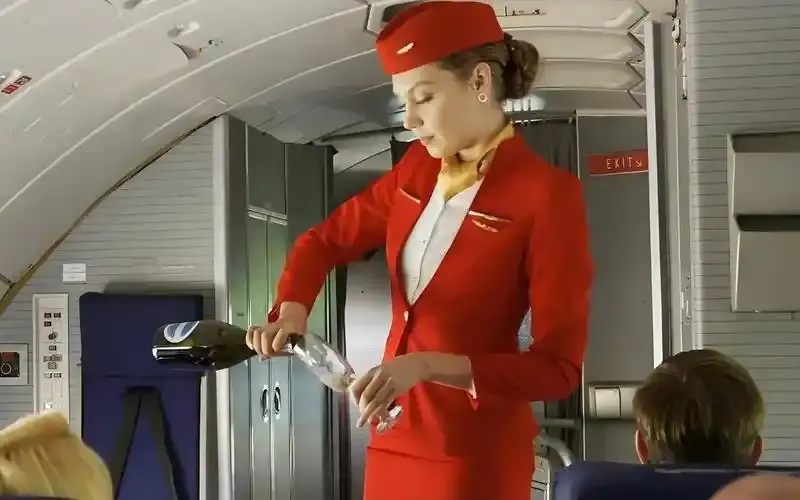 免费看《法国空姐》全集，4K高清未删减，有不雅空乘和私人航空情节，多塞尔航空亮点多，星辰影院无广告极速加载