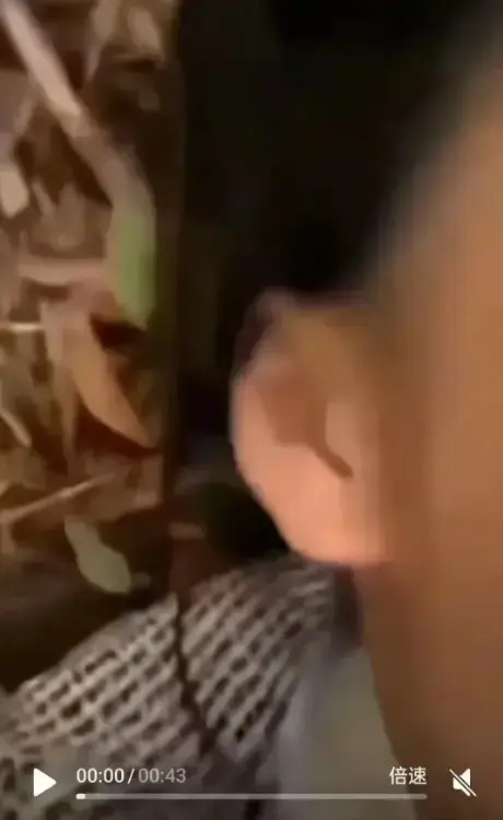 聚焦《女轻奢事件》，解锁轻奢事件、双人大战情节，校园轻奢男孩和轻奢二人组的故事，无广告在线观看全片高清！
