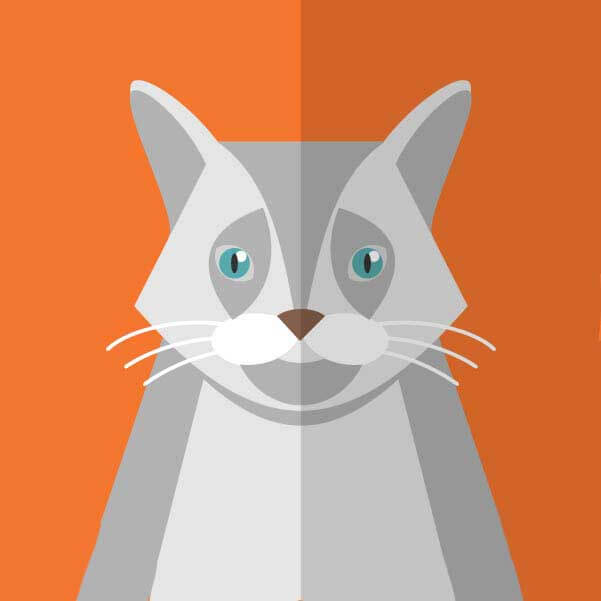 《青春》相关资源图片