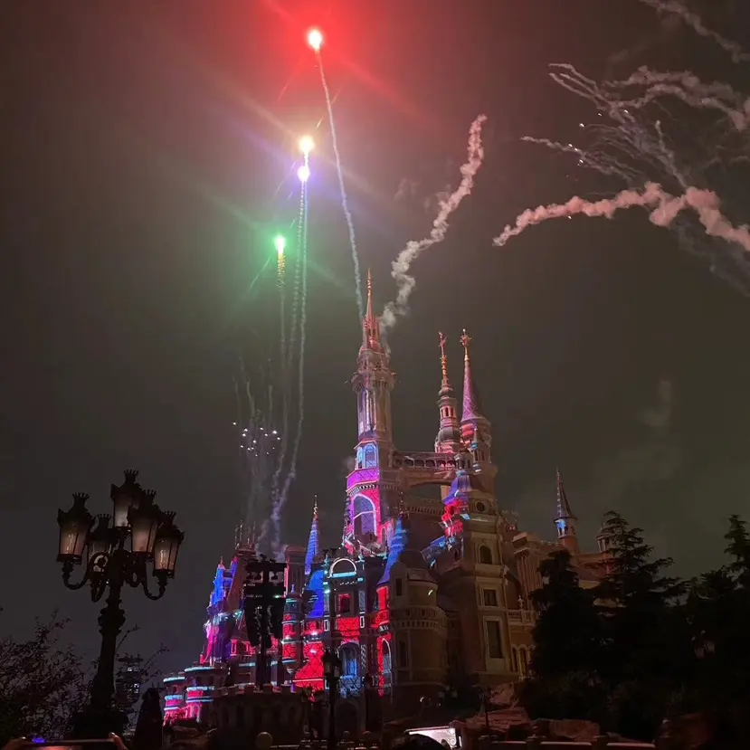 在线观看《小姐》电影高清未删减完整版-韩国经典《小姐》全集免费高清在线观看-无广告HD中字《小姐》完整版观看